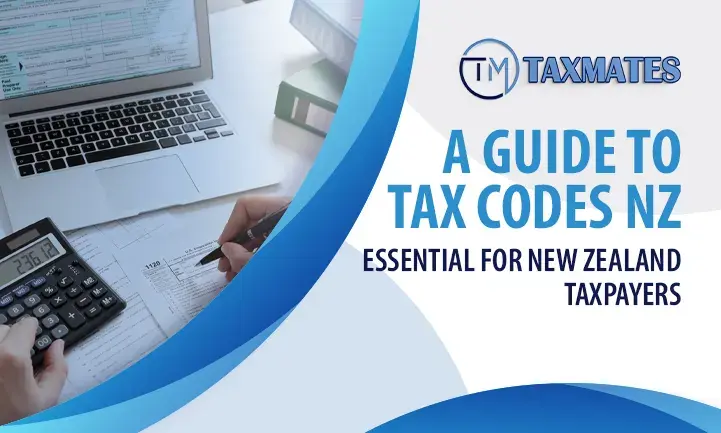 A Guide to Tax Codes NZ Essential for New Zealand Taxpayers