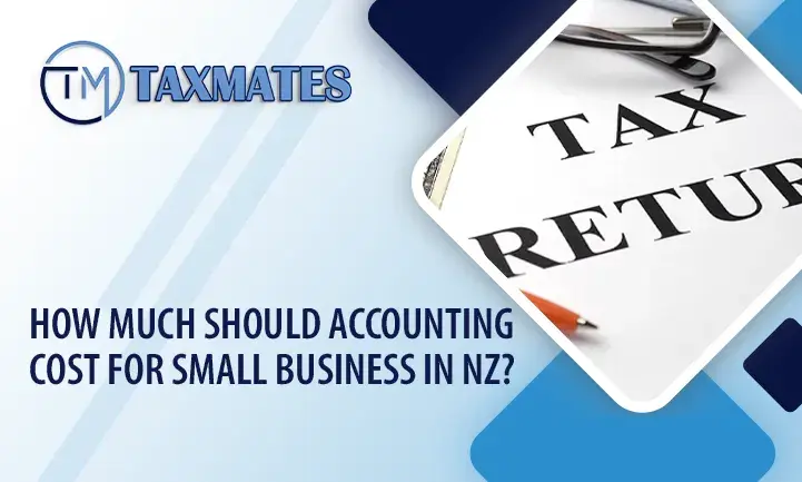 How Much Should Accounting Cost for Small Business in NZ