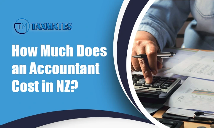 How Much Does an Accountant Cost in NZ?